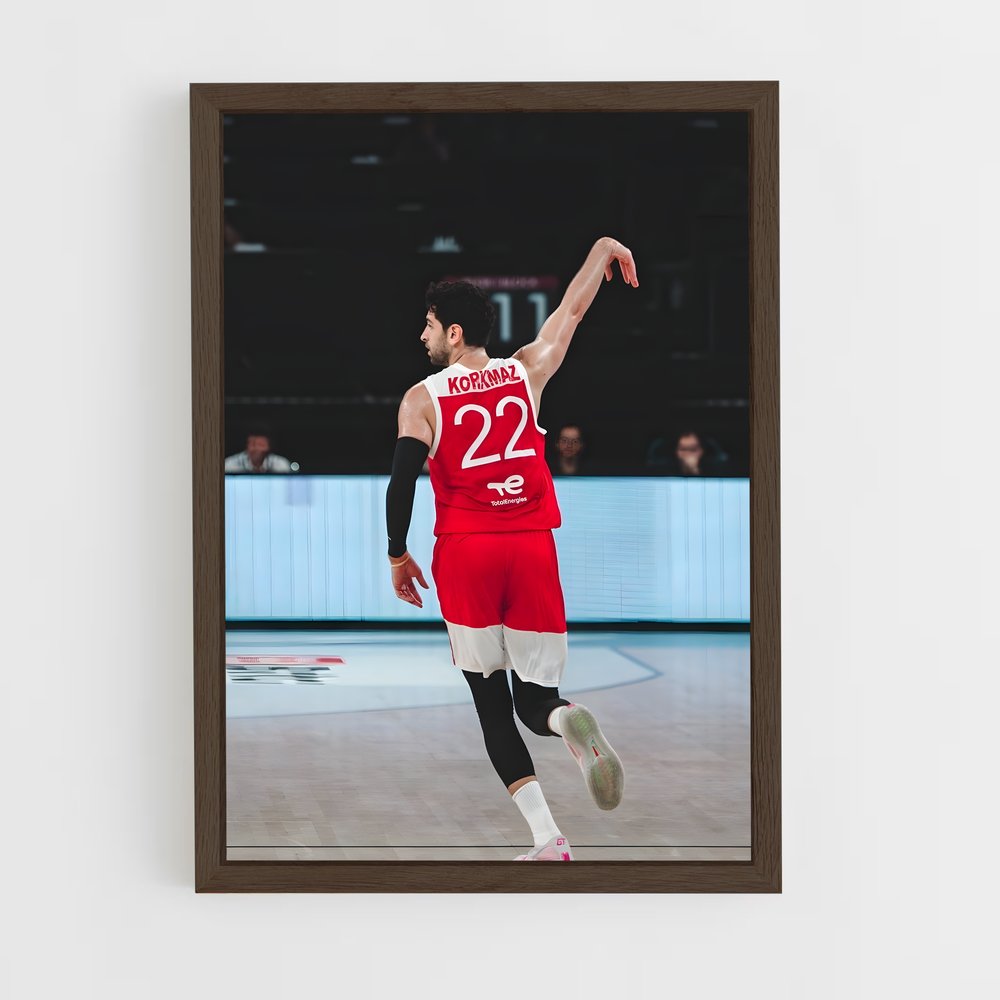 Poster Furkan korkmaz – affiche Basketball (vue 5)